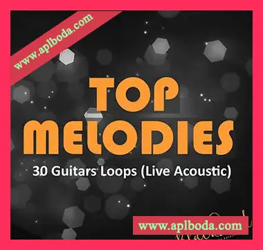 [乡村流行摇滚采样]Blackwood Samples Top Melodies [WAV]（124Mb）
