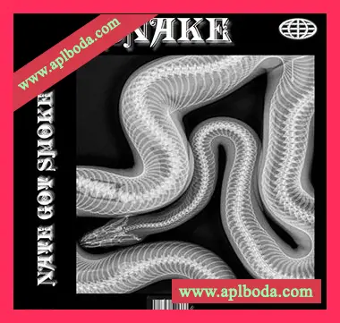[Trap陷阱采样]Nate Got Smoke Snake Sample Library [WAV]（18Mb）