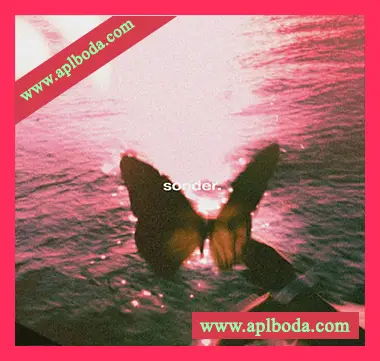 [流行灵魂RnB吉他采样]BSIDES Sonder [WAV]（255Mb）