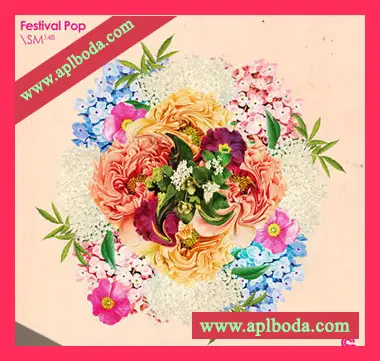 [流行乐采样]Sample Magic Festival Pop [WAV]（930Mb）