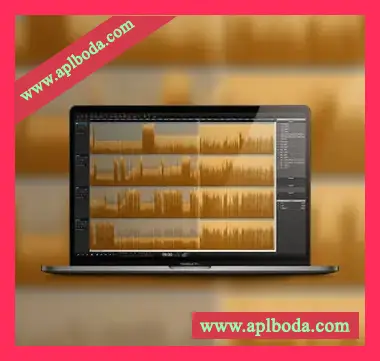 [播客广播音频编辑器]Hindenburg Systems Hindenburg PRO v1.90 Build 2444 [WiN]（8Mb）