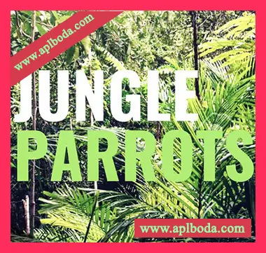 [嘻哈陷阱鼓组采样]Snipe Young Jungle Parrots [WAV]（5Mb）
