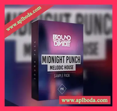 [House浩室素材]Production Music Live Midnight Punch [多格式]（108Mb）
