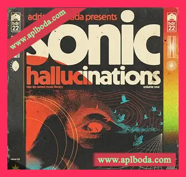 [怀旧乐采样]Hijo De Ramon Music Library 22 Sonic Halllucinations (Compositions And Stems) [WAV]（929Mb）