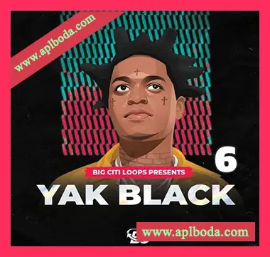 [嘻哈陷阱采样]Big Citi Loops Yak Black 6 [WAV]（38Mb）