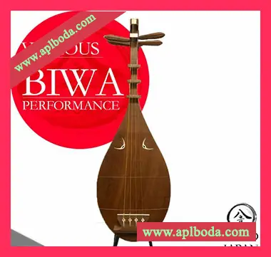 [Biwa日本琵琶采样]Hachion Sound BIWA [WAV]（177Mb）