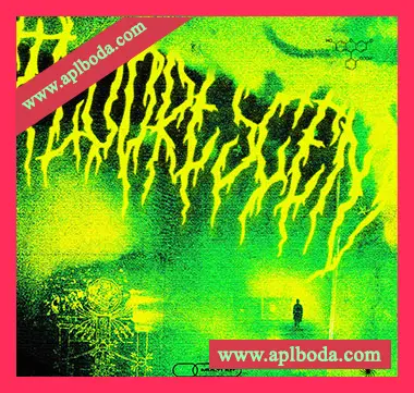 [嘻哈RnB采样]Cryptic Fluorescent Multi-Kit [WAV]（776Mb）