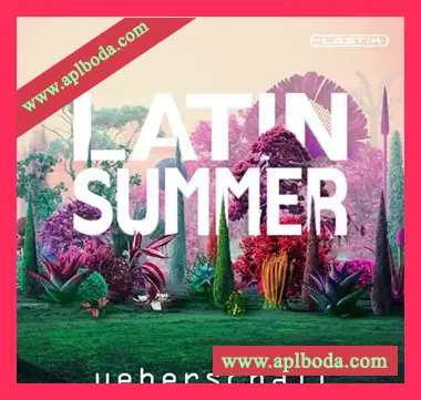 [Elastik音色库拉丁]Ueberschall Latin Summer（1.57Gb）