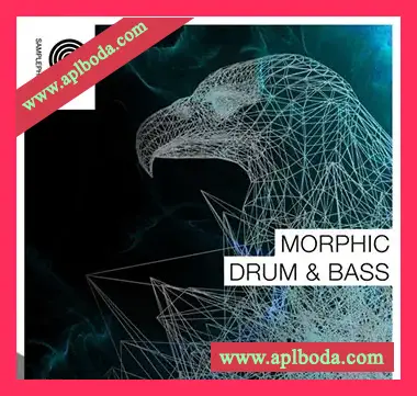 [鼓打贝斯素材]Samplephonics Morphic Drum and Bass [多格式]（461Mb）