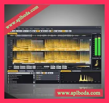 [数字音频处理专家]Acon Digital Acoustica Premium Edition Portable v7.0.51 [WiN, MacOSX]（89Mb）