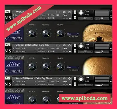 [滚镲吊镲音源]Sampleism Nicolas Signat Alive Cymbals v1.5 [KONTAKT]（647Mb）