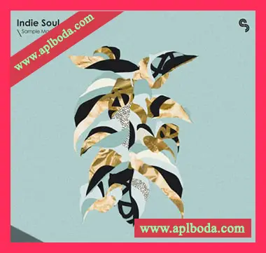 [Indie灵魂采样Astra预置Beatmaker预置]Sample Magic Indie Soul（319Mb）
