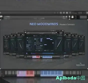 [现代木管独奏音源]Insanity Samples Neo Woodwinds v3.0.0 [KONTAKT]（8.75Gb）