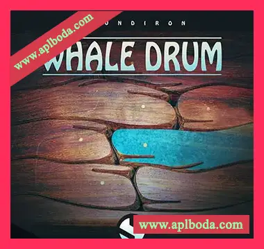 Soundiron Whale Drum v2.0 [KONTAKT]（473Mb）