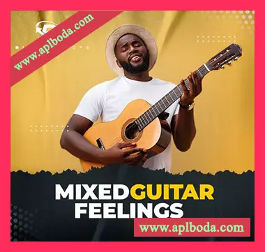[嘻哈RnB采样]Big Citi Loops Mixed Guitar Feelings [WAV]（74Mb）