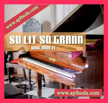 [嘻哈说唱钢琴采样]Strategic Audio So Lit So Grand [WAV]（89Mb）