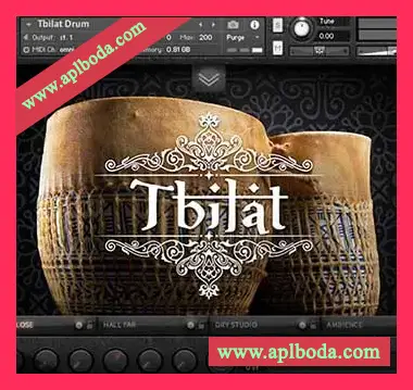 [民族节奏打击采样音源]Soundiron TBILAT DRUM [KONTAKT, WAV]（969Mb）