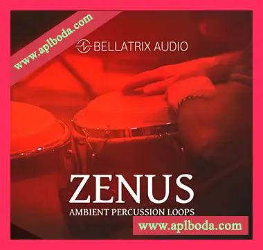 [氛围打击乐采样]Bellatrix Audio Zenus Ambient Percussion [WAV]（379Mb）