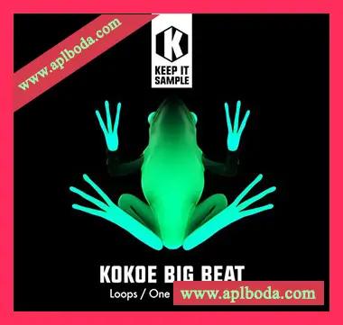 [科技浩室素材]Keep It Sample Kokoe Big Beat [WAV, MiDi]（271Mb）