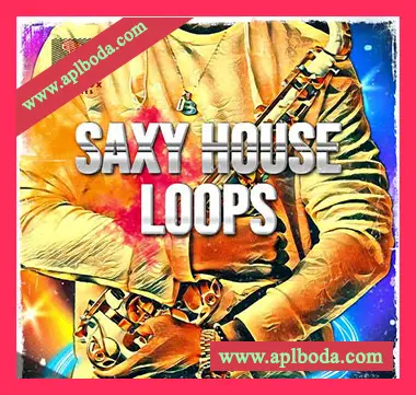 [浩室萨克斯素材]Toolbox Samples Saxy House Loops [WAV]（87Mb）
