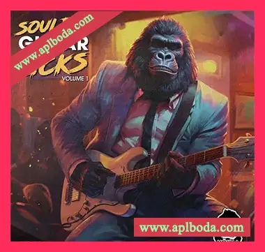 [RnB吉他采样]Vanilla Groove Studios Soulful Guitar Licks Vol 1 [WAV]（207Mb）