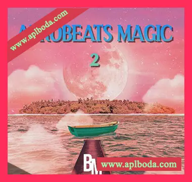 [非洲节奏采样]HOOKSHOW Afrobeats Magic 2 [WAV]（60Mb）