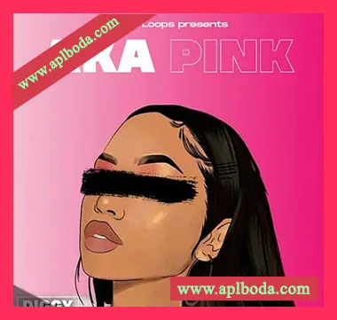[灵魂RnB采样]Diggy Loops Aka Pink [WAV]（73Mb）