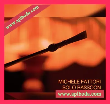 [巴松管独奏音源]Fluffy Audio Michelle Fattori Solo Bassoon [KONTAKT]（5.26Gb）