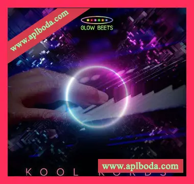[浩室采样]Rightsify Kool Kords [WAV]（115Mb）