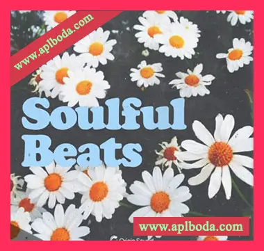 [RnB采样Beatmaker预置]Origin Sound Soulful Beats（321Mb）