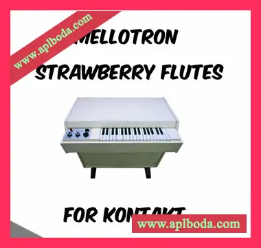[摇篮曲模拟长笛音源]PastToFutureReverbs Mellotron Strawberry Flute [KONTAKT]（160Mb）