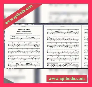 [辅助音乐合成编辑器]Myriad Software Harmony Assistant v9.9.6 (x64) Portable [WiN]（55Mb）