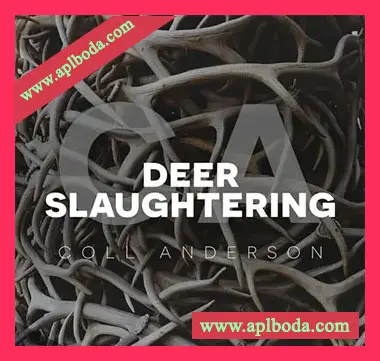[屠宰鹿音效FX采样]C.A. Sound Deer [WAV]（2.17Gb）