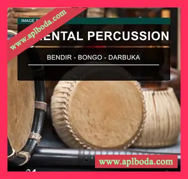 [东方打击乐器采样]Image Sounds Oriental Percussion 01 [WAV]（18Mb）