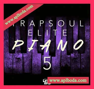 [嘻哈RnB钢琴采样]Big Citi Loops Trapsoul Elite Piano 5 [WAV]（43Mb）