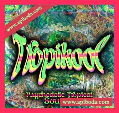 [Latin拉丁乐采样]Sonnemm Tropikool [WAV]（5Mb）