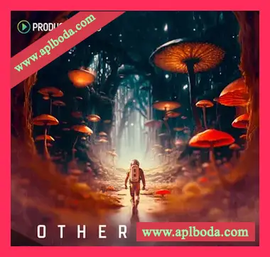 [泰克诺舞曲素材]Producer Loops Otherworld [多格式]（1.7Gb）