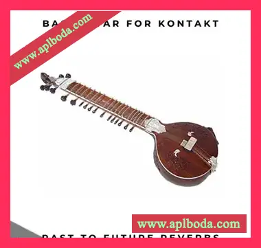 [电贝司低音西塔琴音源]PastToFutureReverbs Electric Bass Sitar ! [KONTAKT]（103Mb）