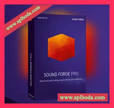 MAGIX Sound Forge Pro v14.0.0.30 x64 [WiN]（315Mb）