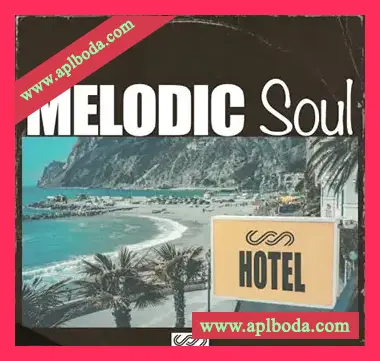 [灵魂RnB采样Astra预置]Soul Surplus Melodic Soul（271Mb）