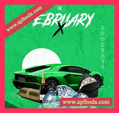 [Trap陷阱素材Omnisphere预置Sylenth1预置Nexus预置]Shobeats February X [WAV, MiDi]（108Mb）