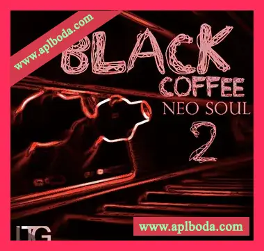 [灵魂RnB素材]LTG Entertainment Black Coffee Neo Soul 2 [WAV, MiDi]（71Mb）