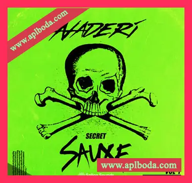 [奇幻贝斯采样]Splice Sounds Naderis Secret Sauxe [WAV]（192Mb）