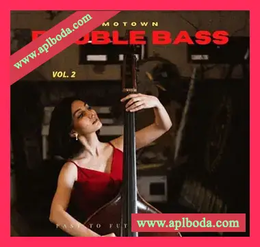 [原声贝斯低音提琴音源]PastToFutureReverbs Motown Double Bass Vol.2! [KONTAKT]（246Mb）