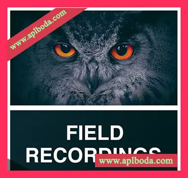 [影视电子采样]Whitenoise Records Field Recordings [WAV]（310Mb）