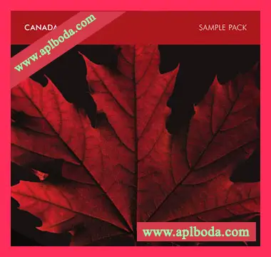 [加拿大影视乐采样]Suture Sound Canada [WAV]（22Mb）