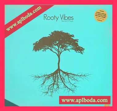 [氛围陷阱RnB素材]Patchbanks Rooty Vibes [AiFF]（170Mb）