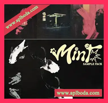 [RnB爵士摇滚采样]Jazzfeezy Mint (Jazzfeezy and TY) [WAV]（269Mb）