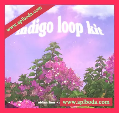 [环境氛围吉他LOOP采样]Aidan Han and Gavin Hadley Indigo [guitar loop kit] [WAV]（111Mb）