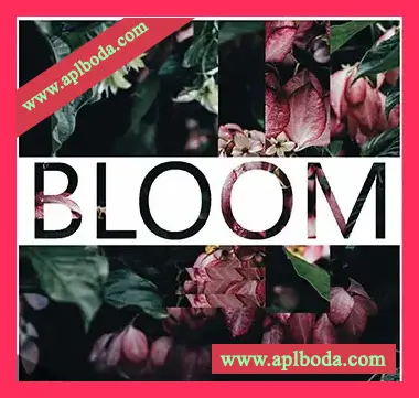 [华丽合成乐器音源]Lamprey Lamprey Bloom Lush Synth Arp [KONTAKT]（282Mb）